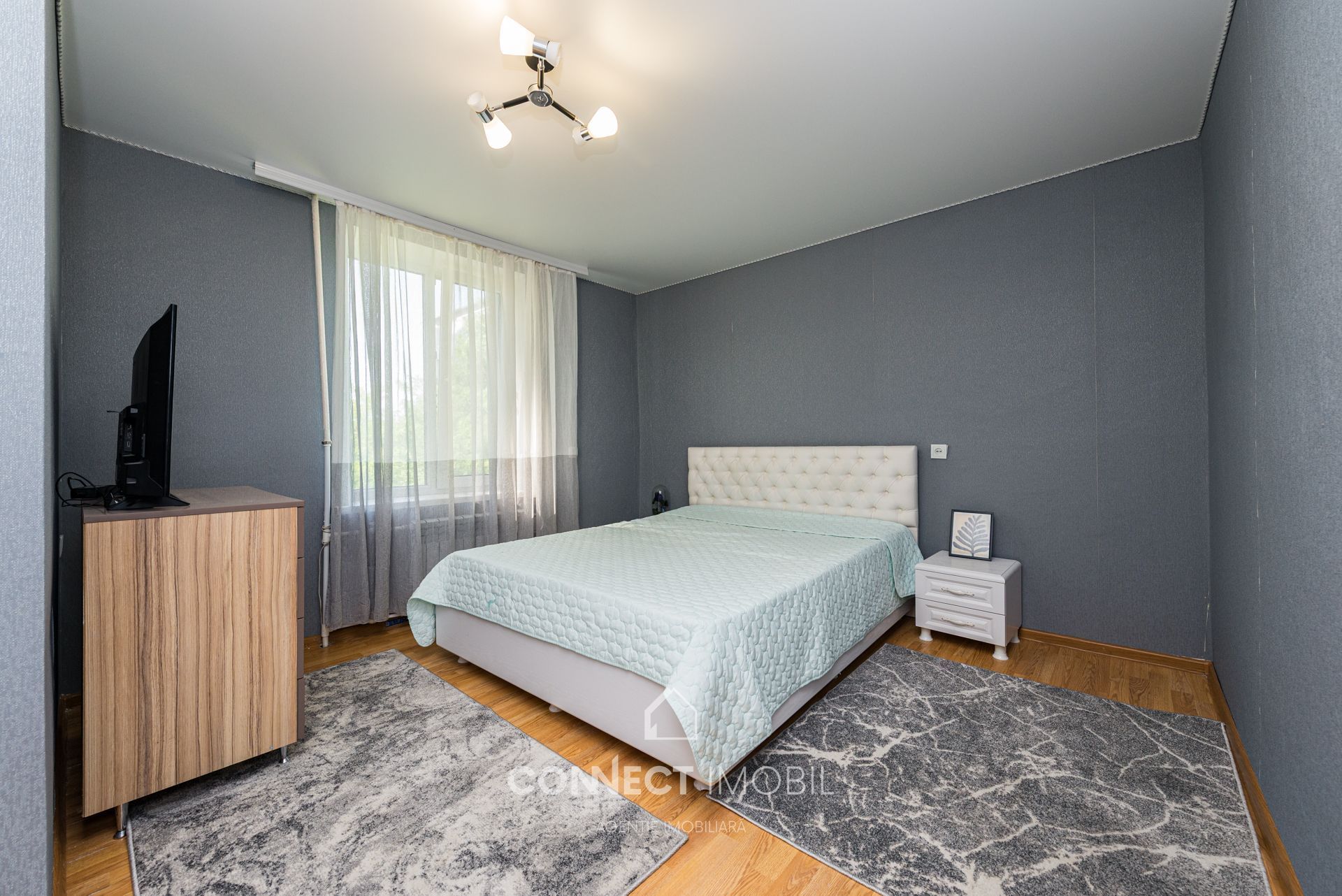 str.Belgrad,Botanica,Chisinau