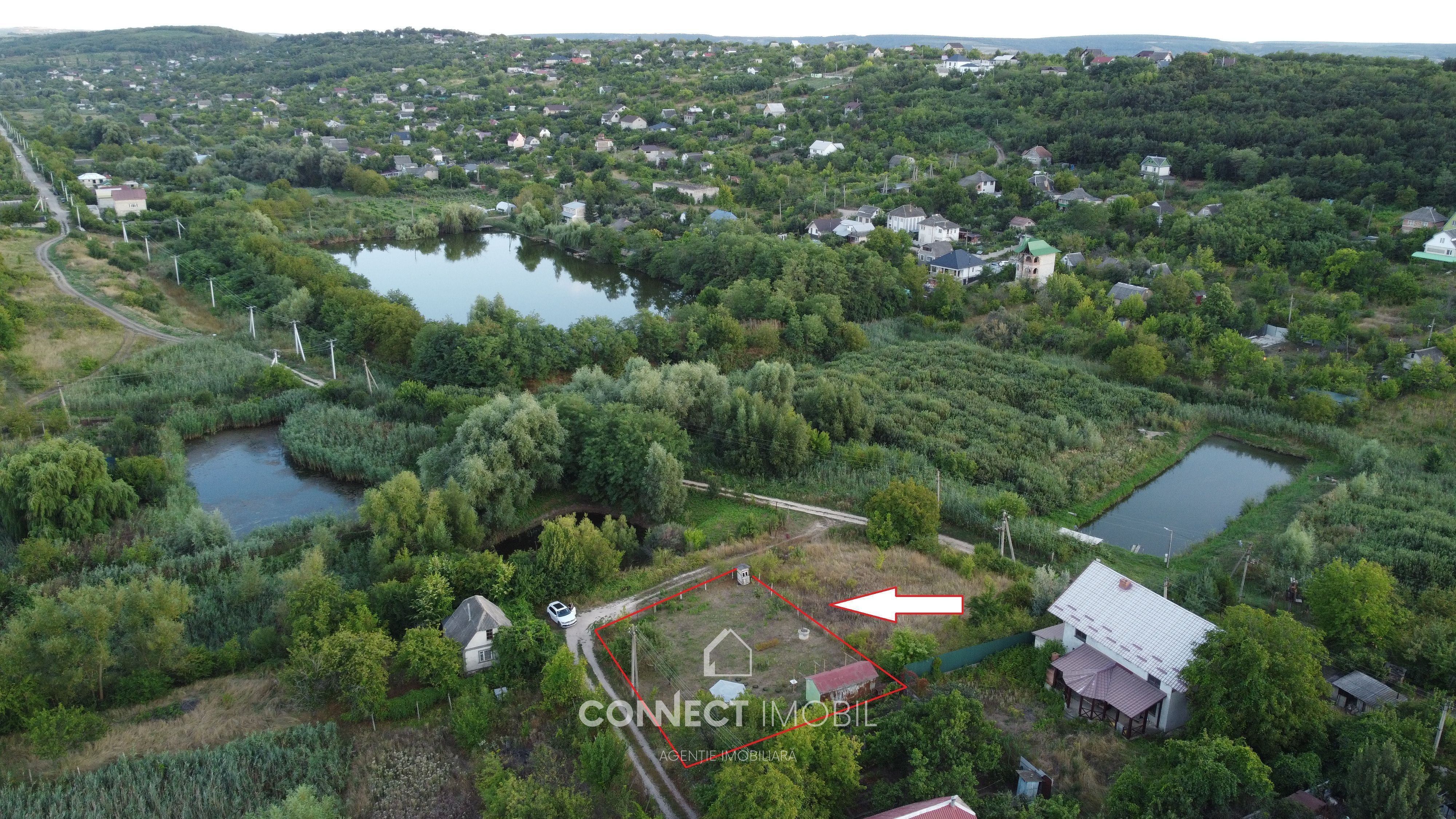 Dumbrava noua, Chisinau
