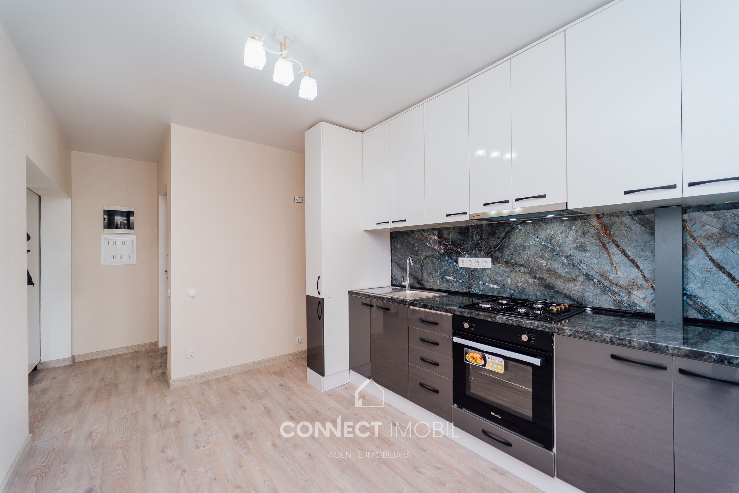 str. Drumul Viilor, Telecentru , Chisinau