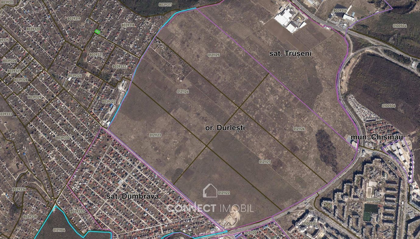 str. Sf. Ion, Dumbrava